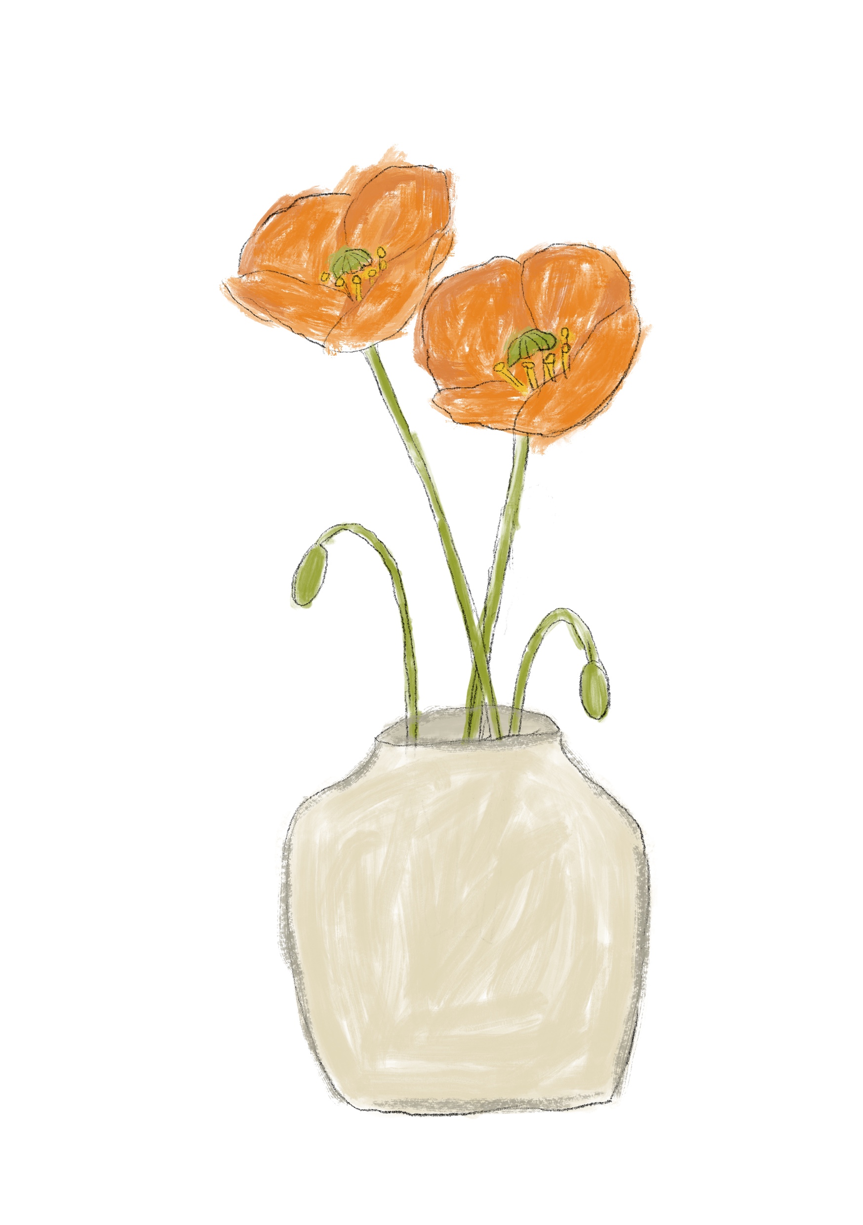 Poppies